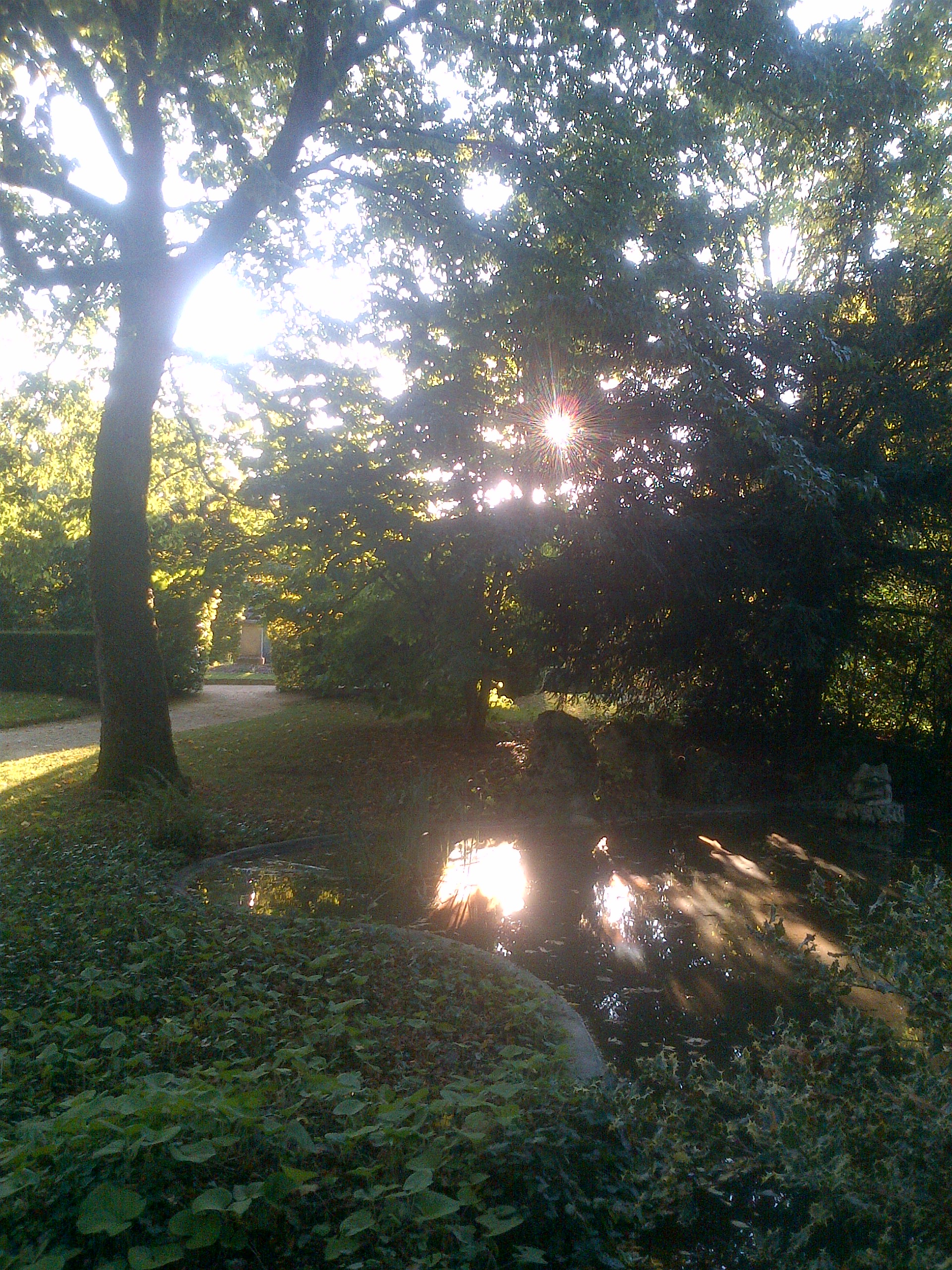arboressence